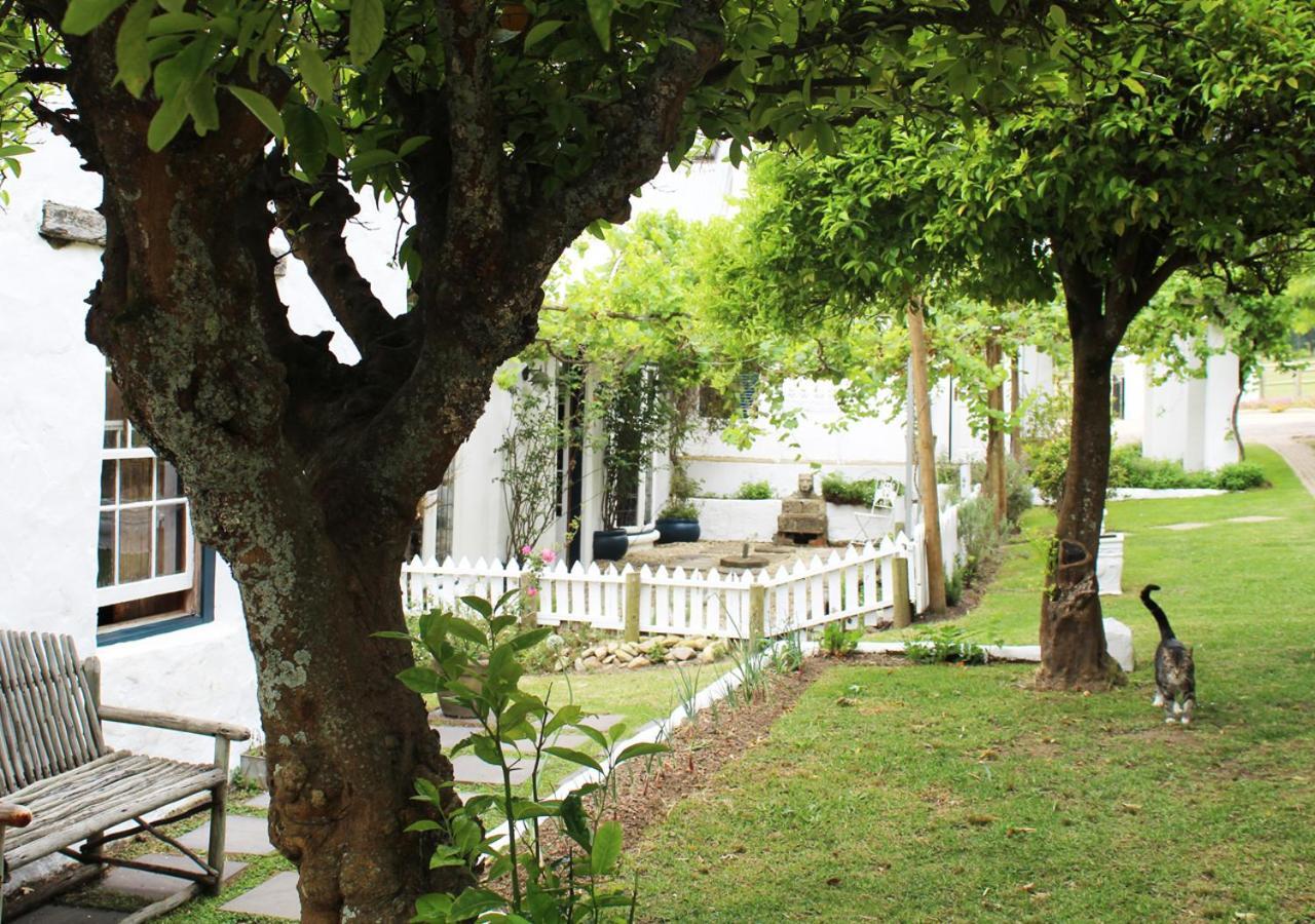 Moffid'S Place Swellendam Exterior foto